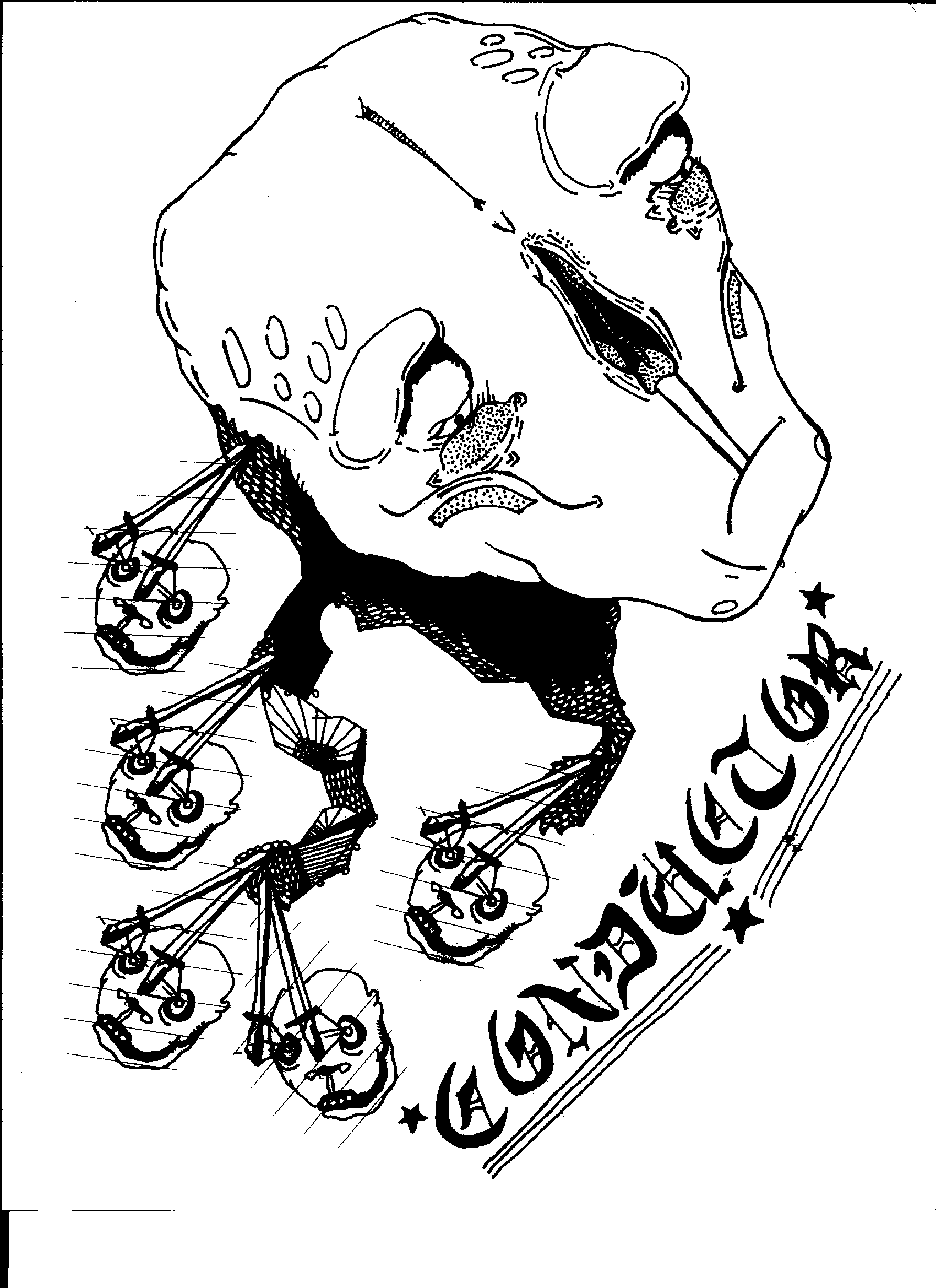 Conductor behind the scenes